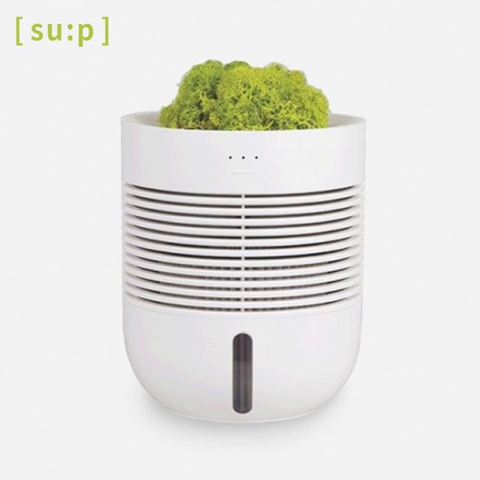 Healing Pot Humidifier + Air Purifier